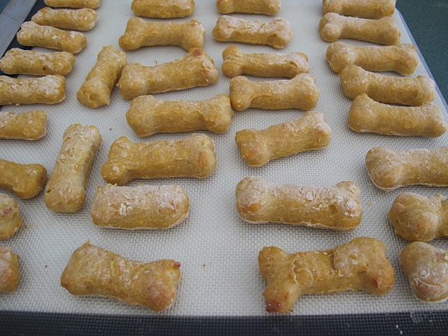 dogs, treats, homemade