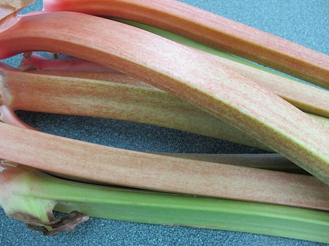 Rhubarb stalks prudent living, prudent pantry
