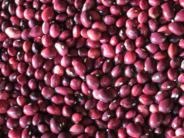 Dried Beans