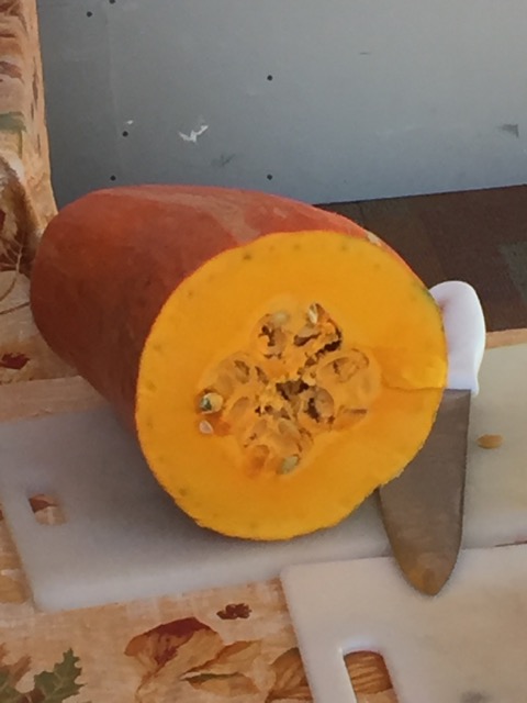 finding gete okosomin seeds