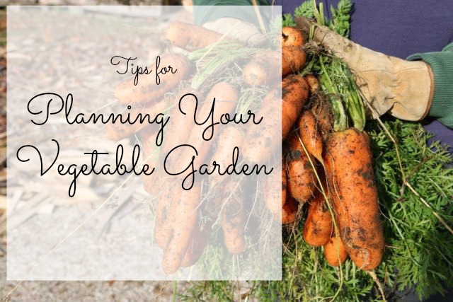 planning your vegetable garden