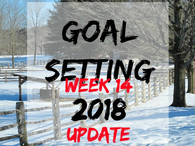 goal-setting 14