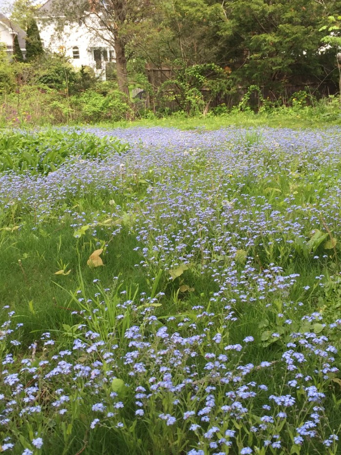 Guilford, Connecticut 