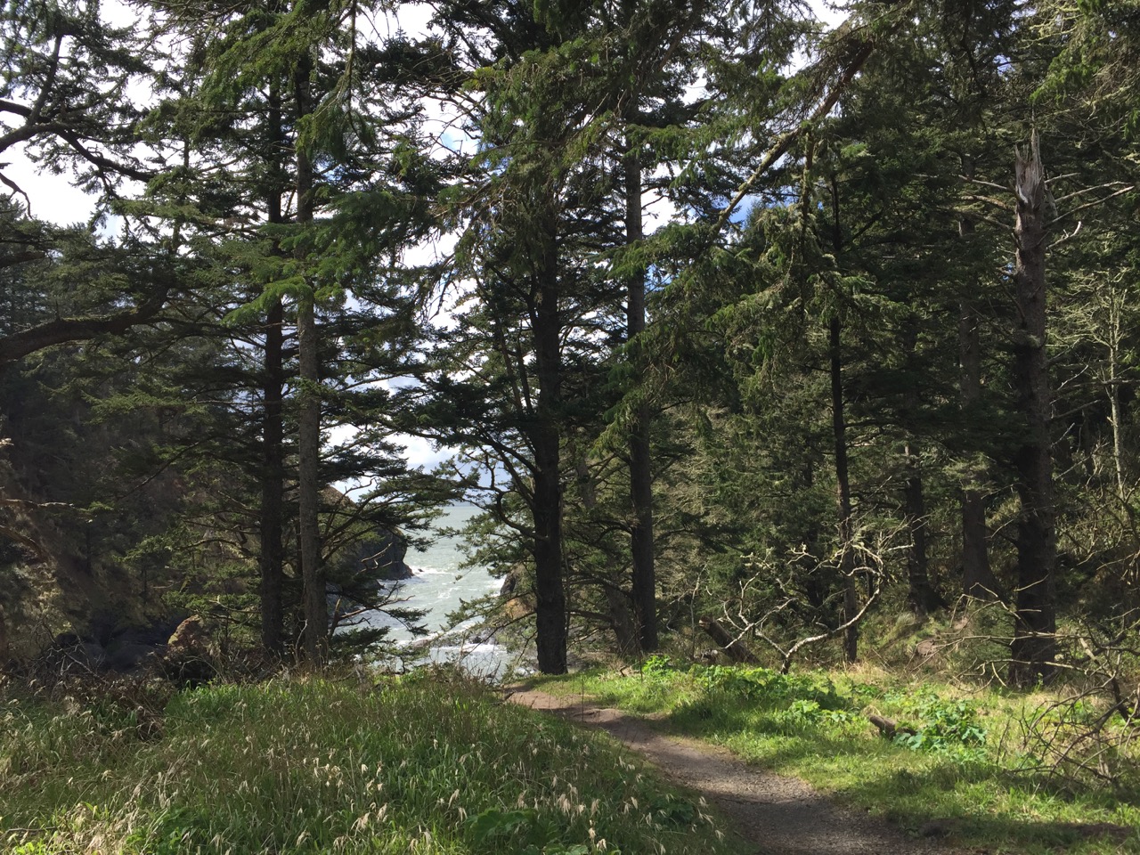 Exploring the Pacific Northwest
