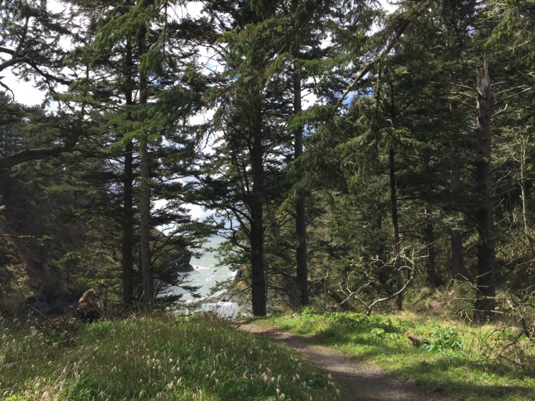 Exploring the Pacific Northwest