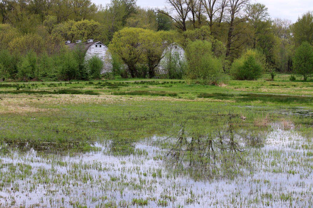 Exploring the Nisqually National Wildlife Refuge