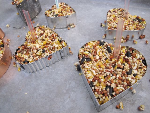 Treats for the birds