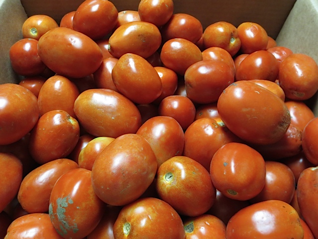 canning, prudent pantry, prudent living