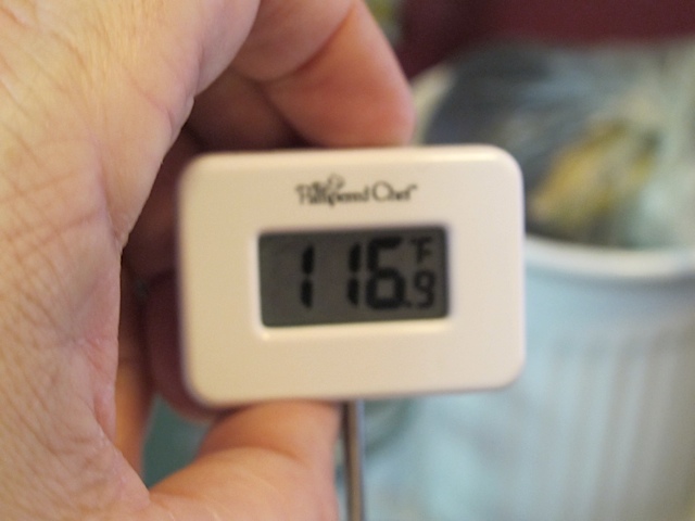 yogurt making, prudent living