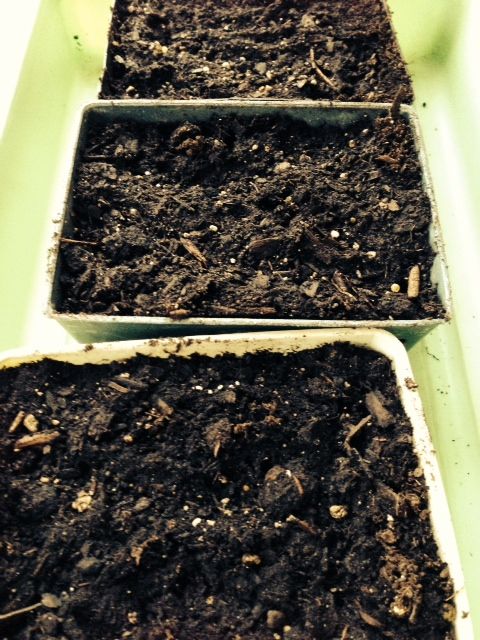 Waiting fro signs of growth.