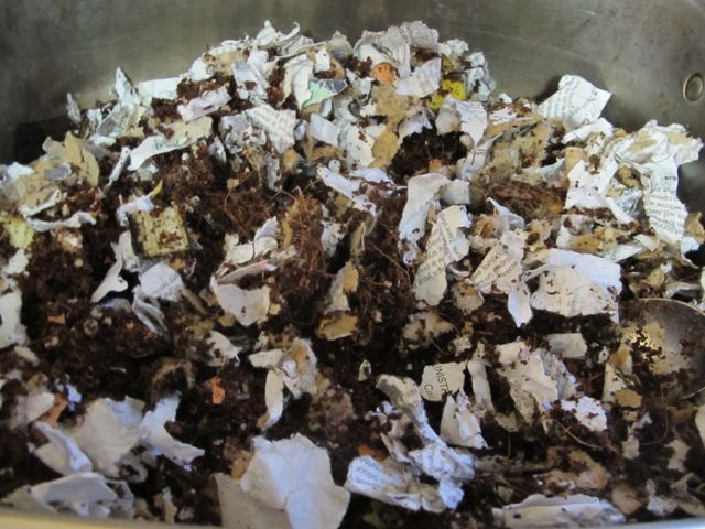 Mixture ready for worms!