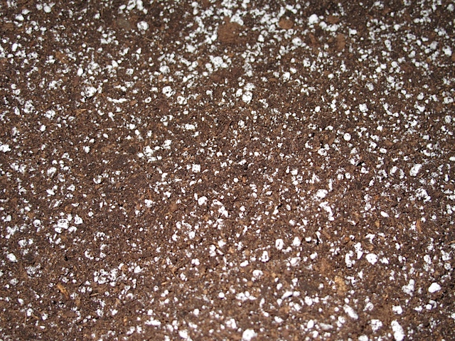 potting soil, seed starting