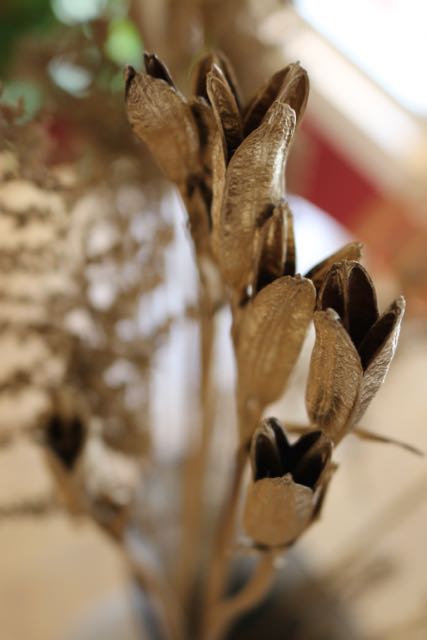 Seed pods sprayed gold.