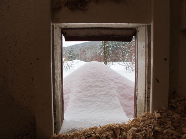 View from inside the coop!