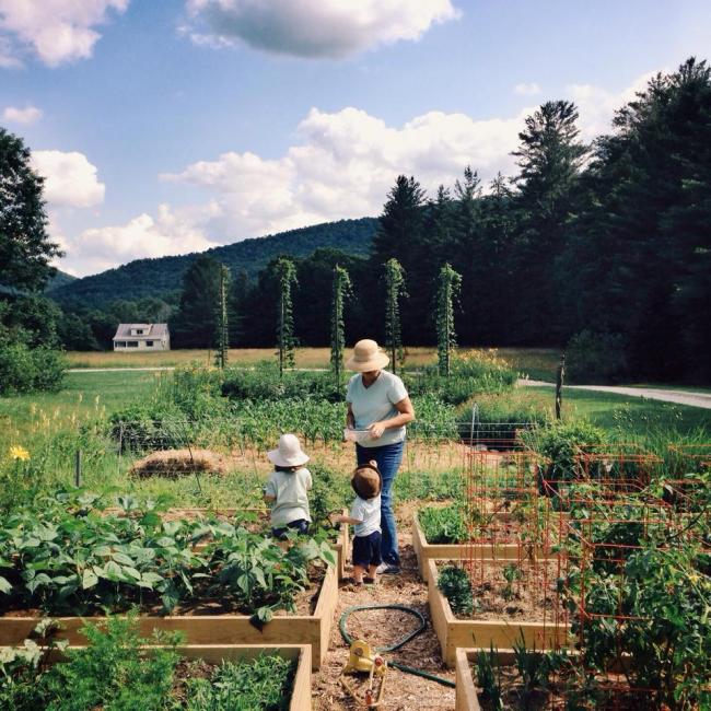 Fun days in the garden.