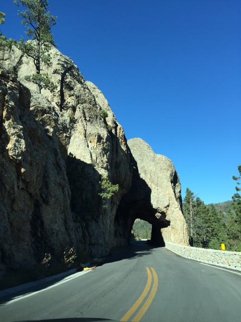 Exploring the Black Hills