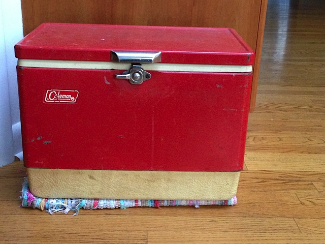 The cooler kept the food frozen. prudent living