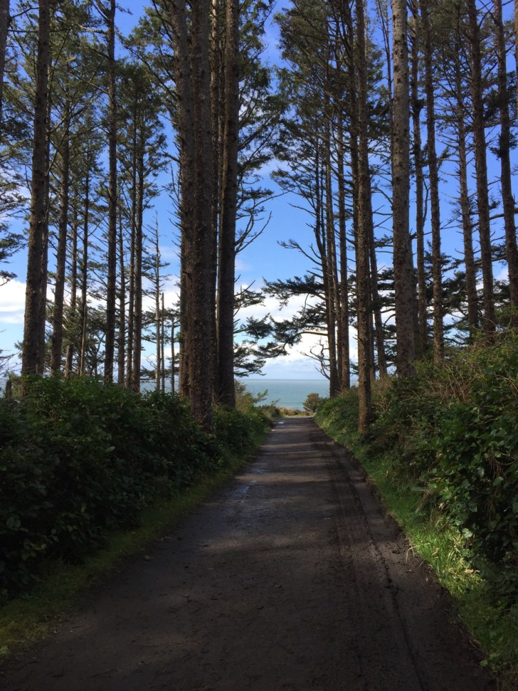 Exploring the Pacific Northwest