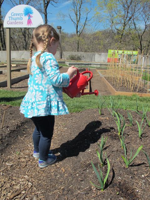 Water is important to your garden.
