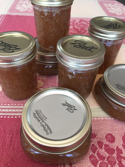 first jam of the season