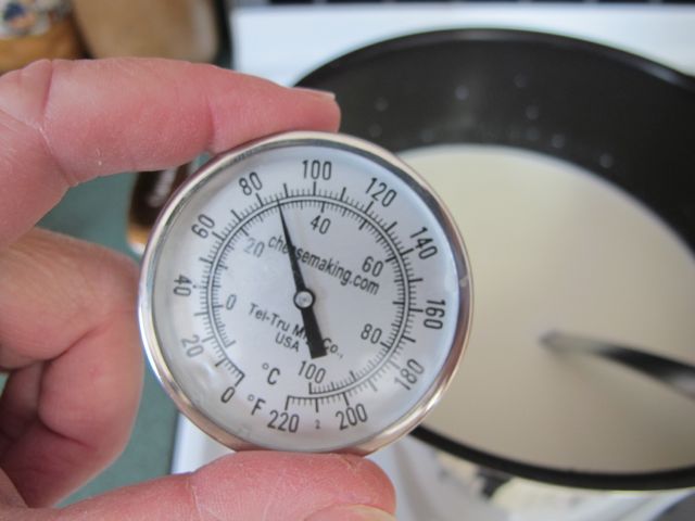 Heat milk to 86 degrees.