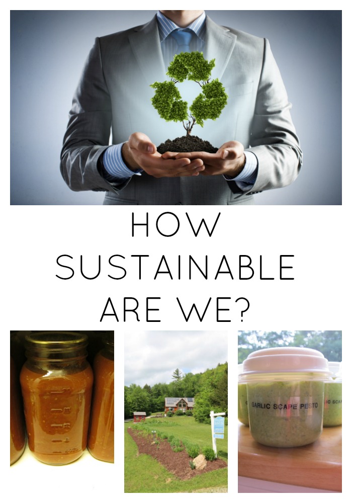 HOW SUSTAINABLE ARE WE?