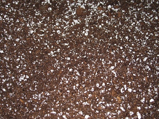 seed starting mixture, gardening
