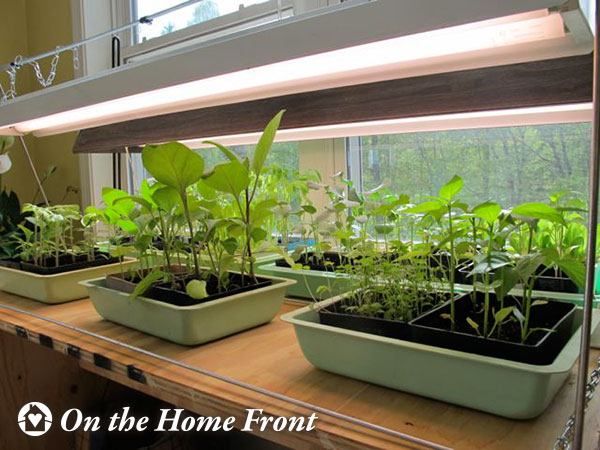 gardening, prudent living