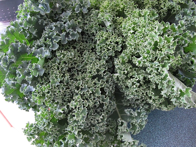 greens, freezing, prudent living