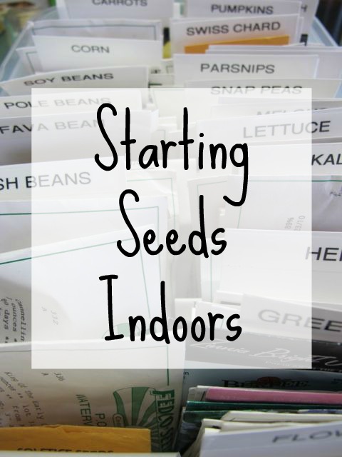 starting seeds indoors