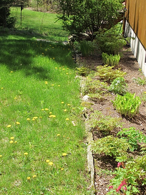 Garden bed - early spring expanding your garden, gardening