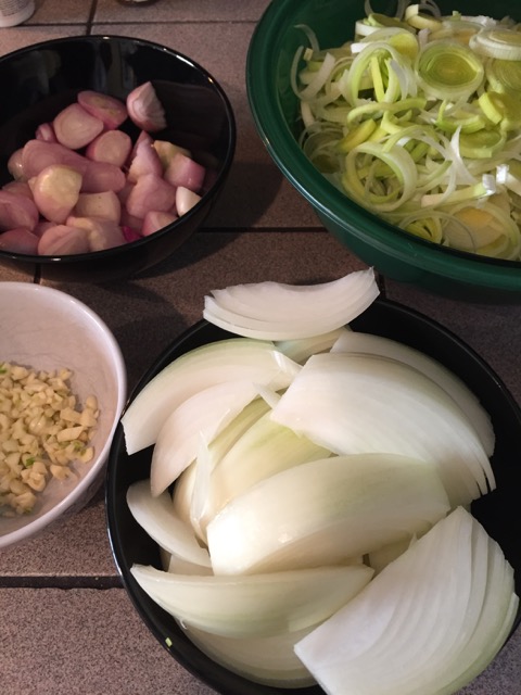 onions, leeks, shallots and garlic