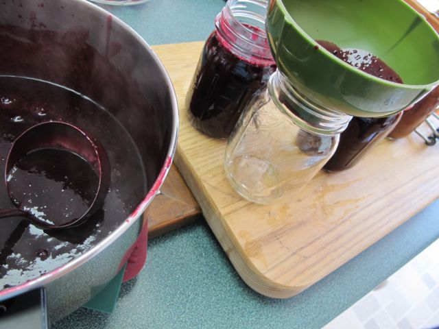 Ladle into hot jars.