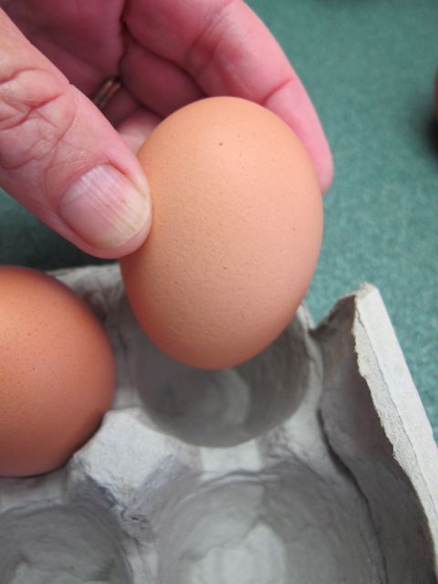 Store your eggs with the large end up.