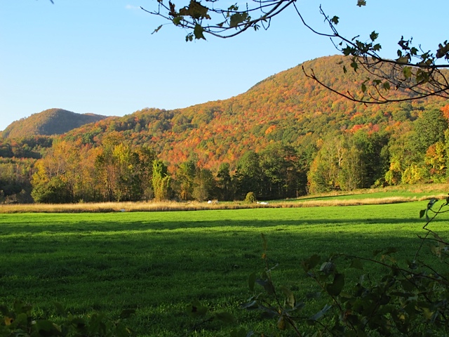 prudent living. bargains