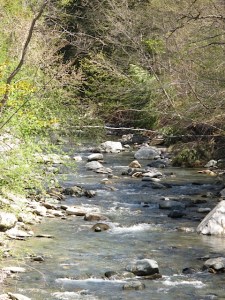 spring, stream, Vermont