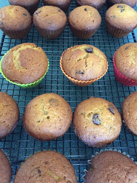chocolate chip Pumpkin Muffins 