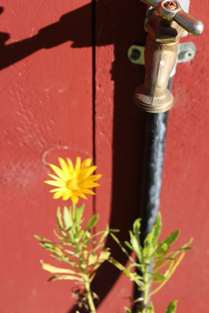 Are your outside faucets turned off?