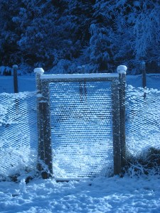 winter, garden, snow