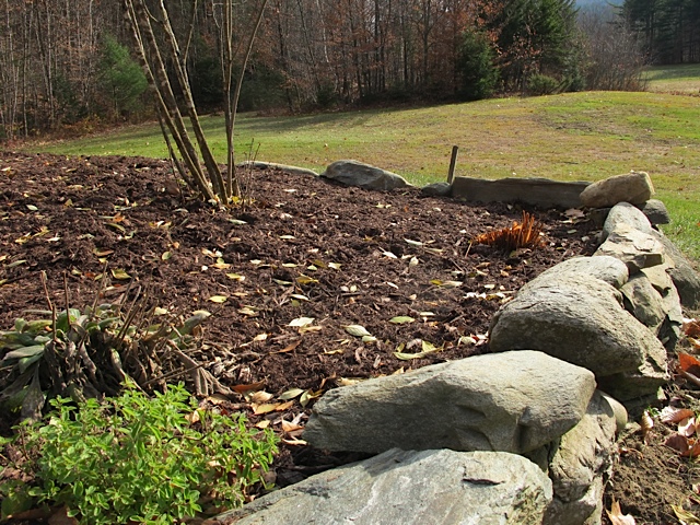 fall, garden, gardening year