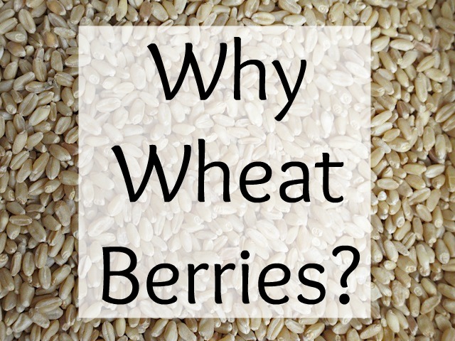 wheat berries