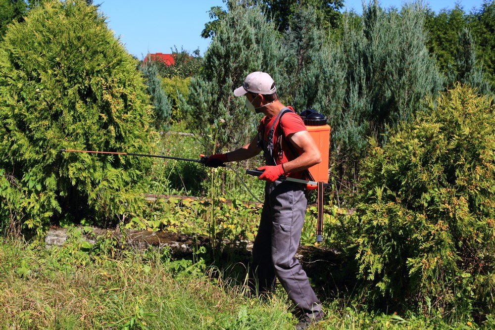 garden sprayers