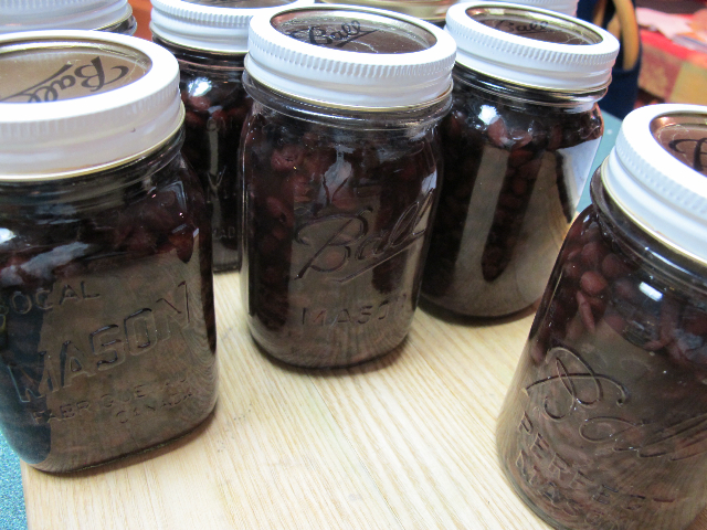 canning, beans, pantry, prudent living