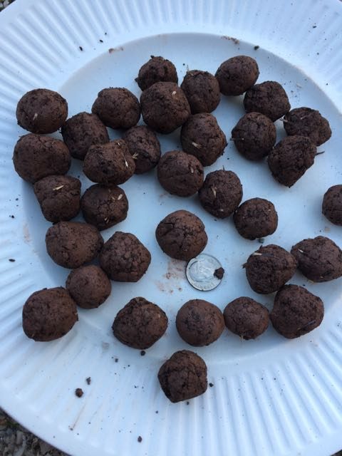 making seed balls, simple gifts