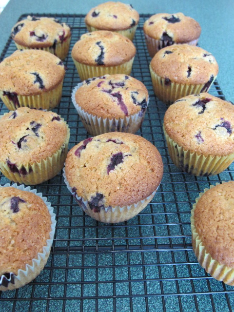 cinnamon, blueberry, muffins