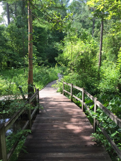 North Carolina Botanical Garden