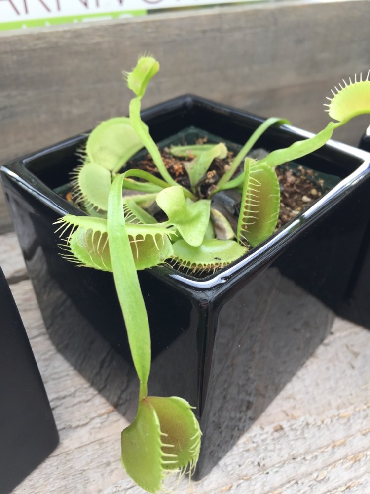 Exploring the Pacific Northwest