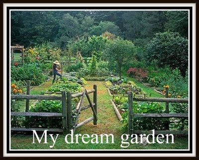 planning your vegetable garden