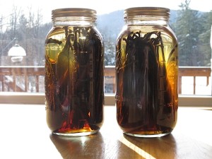 homemade vanilla extract, frugal tip