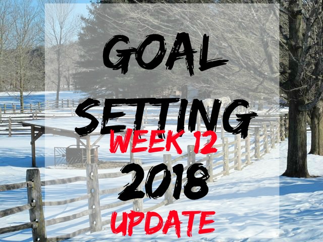 goal-setting 12